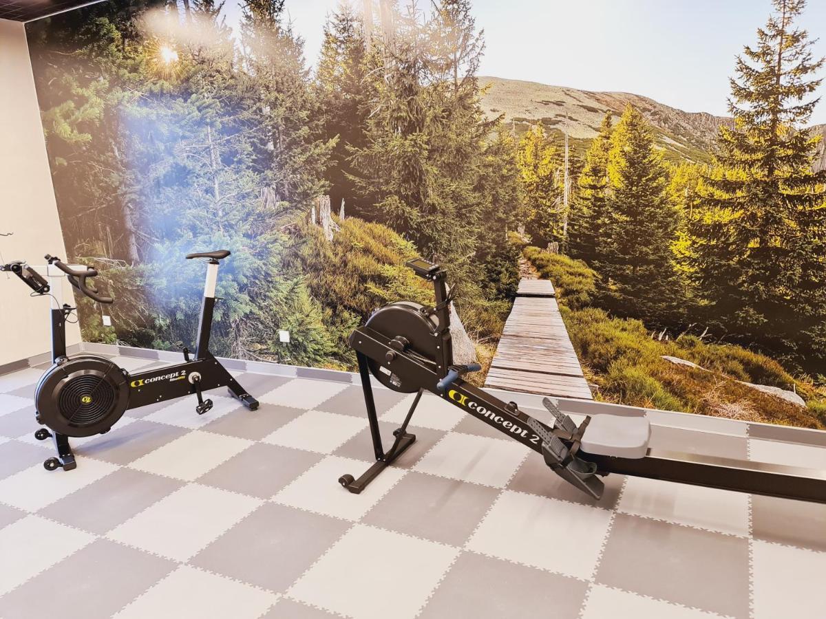 Apartament A2 Domitu Z Basenem, Sauna, Jacuzzi - 5D Apartments Szklarska Poręba Eksteriør billede